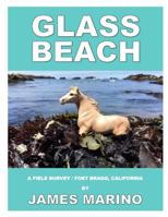 Glass Beach: A Field Survey / Fort Bragg, California 1973839385 Book Cover