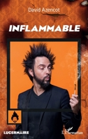 Inflammable (Lucernaire) (French Edition) 2343176310 Book Cover