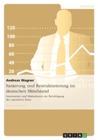 Sanierung und Restrukturierung im deutschen Mittelstand 3640813707 Book Cover