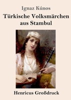 T�rkische Volksm�rchen aus Stambul (Gro�druck) 3847838717 Book Cover