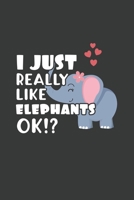 I Just Really Like Elephants OK?: 6x9 Inch Journal Diary Notebook 110 Blank Lined Pages Cute Elephant Gift 1661639070 Book Cover