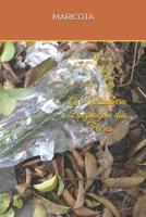 A Verdadeira Linguagem Das Flores 109266128X Book Cover