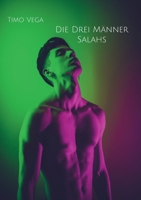 Die Drei Männer Salahs 374317457X Book Cover