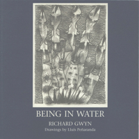 Being in Water 190263814X Book Cover