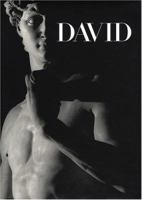 David: Five Hundred Years 1402728360 Book Cover