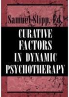 Curative Factors in Dynamic Psychotherapy (The Master Work Series) 1568210973 Book Cover