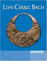 Llyn Cerrig Bach: A study of the Copper Alloy Artefacts from the Insular La Tène Assemblage 0708320414 Book Cover