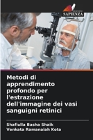 Metodi di apprendimento profondo per l'estrazione dell'immagine dei vasi sanguigni retinici 6205905299 Book Cover