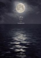 Sailing Down the Moonbeam 0979799724 Book Cover