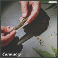 Cannabis 2021 Wall Calendar: Official Cannabis Calendar 2021 B08RH2YCK1 Book Cover