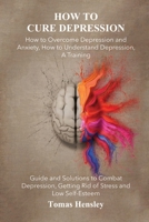 How to Cure Depression: How to Overcome Depression and Anxiety, How to Understand Depression, A Training Guide and Solutions to Combat Depression, Getting Rid of Stress and Low Self-Esteem 1545475911 Book Cover