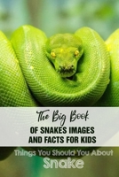 The Big Book Of Snakes Images And Facts For Kids Things You Should You About Snakes: Snake Picture Books B08RC4BJCW Book Cover