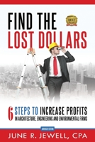 Find the Lost Dollars: 6 Steps to Increase Profits in Architecture, Engineering and Environmental Firms - Abridged Version 0988382431 Book Cover