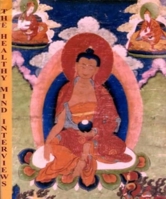 Healthy Mind Interviews:Vol 1- With Lopon Tegchoke 9994664425 Book Cover