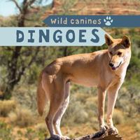 Dingoes 1499420218 Book Cover