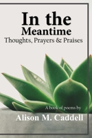 In the Meantime: Thoughts, Prayers & Praises 0692648240 Book Cover