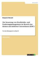 Die Steuerung Von Kreditrisiko- Und Forderungsmanagement Im Bereich Der Kleinen Und Mittleren Unternehmen (Kmu) 3656762929 Book Cover