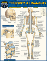 Anatomy of Joints & Ligaments: A Quickstudy Laminated Reference Guide 1423251555 Book Cover