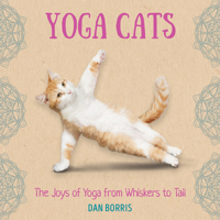Yoga Cats 1531914861 Book Cover