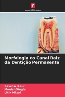 Morfologia do Canal Raiz da Dentição Permanente (Portuguese Edition) 6204823035 Book Cover