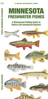 Minnesota Freshwater Fishes: A Waterproof Folding Guide to Familiar Species 1620055627 Book Cover