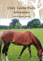 Only Lettie Pony Adventure 1326763903 Book Cover