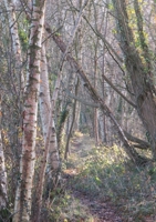 Obverse 1678179329 Book Cover