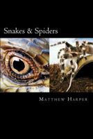 Snakes & Spiders: Two Fascinating Books Combined Containing Facts, Trivia, Images & Memory Recall Quiz: Suitable for Adults & Children 1500113859 Book Cover