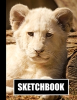 Sketchbook: Lion Cub Cover Design White Paper 120 Blank Unlined Pages 8.5 X 11 Matte Finished Soft Cover 1706167377 Book Cover