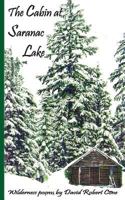 The Cabin at Saranac Lake: Wilderness Poems 1530210259 Book Cover