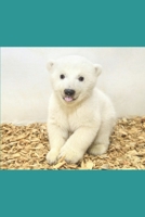 Baby Polar B0841FBTHM Book Cover
