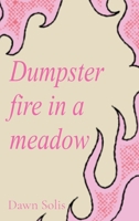 Dumpster fire in a meadow B0F87MQRWB Book Cover