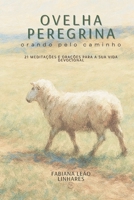 Ovelha Peregrina - orando pelo caminho: 21 meditações e orações para a sua vida devocional (Portuguese Edition) B0F53RTC3L Book Cover