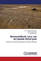 Белолобый гусь на острове Колгуев: Биология вида в репродуктивный период 3843306400 Book Cover