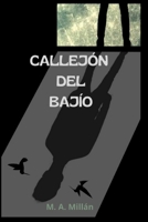 CALLEJÓN DEL BAJÍO (Spanish Edition) B0FGM6QD6C Book Cover
