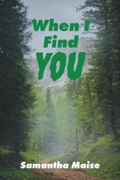 When I Find You (Dangerous Finds Mystery) B0GWQ8K2L8 Book Cover