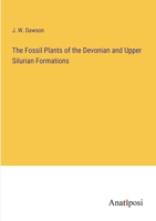 The Fossil Plants of the Devonian and Upper Silurian Formations 338214218X Book Cover