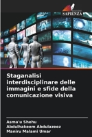 Staganalisi interdisciplinare delle immagini e sfide della comunicazione visiva (Italian Edition) 6209564305 Book Cover