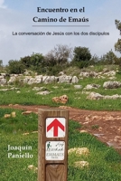 Encuentro en el Camino de Emaús: La conversación de Jesús con los dos discípulos (Spanish Edition) B08LNBH23X Book Cover