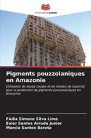 Pigments pouzzolaniques en Amazonie (French Edition) 6206664724 Book Cover