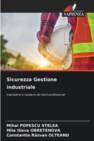 Sicurezza Gestione industriale (Italian Edition) 6207948742 Book Cover