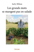 Les grands mots se mangent pas en salade (French Edition) 2334244988 Book Cover