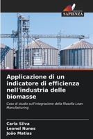 Applicazione di un indicatore di efficienza nell'industria delle biomasse (Italian Edition) 6202737603 Book Cover