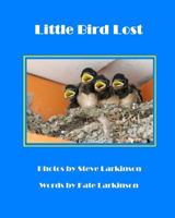 Little Bird Lost: A Rhyming Picture Story 1492762822 Book Cover