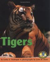 Tigers (Early Bird Nature Books) 0822530104 Book Cover