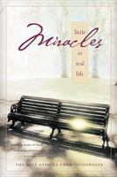 Little Miracles in Real Life: Inspiring Stories of God's Intervention in People's Lives 0842355197 Book Cover