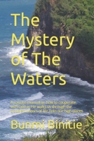 The Mystery of The Waters: A concise manual on how to cooperate with God as He walks us through the troubled waters of life onto our high places B099BV5XLQ Book Cover
