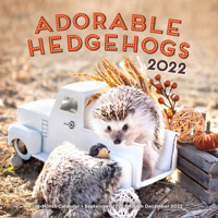 Adorable Hedgehogs 2022: 16-Month Calendar - September 2021 through December 2022 1631067729 Book Cover