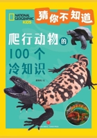 100 Fun Facts of Reptiles/?????100???? (Chinese Edition) B0FRZHS3QJ Book Cover