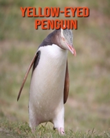 Yellow-Eyed Penguin: Beautiful Pictures & Interesting Facts Children Book About Yellow-Eyed Penguin B08M8GW3KS Book Cover